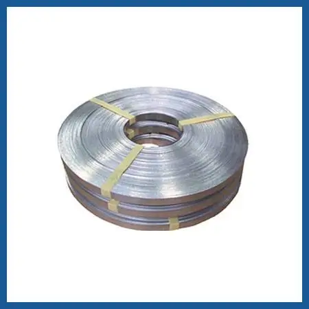 Stainless Steel Clips and Banding